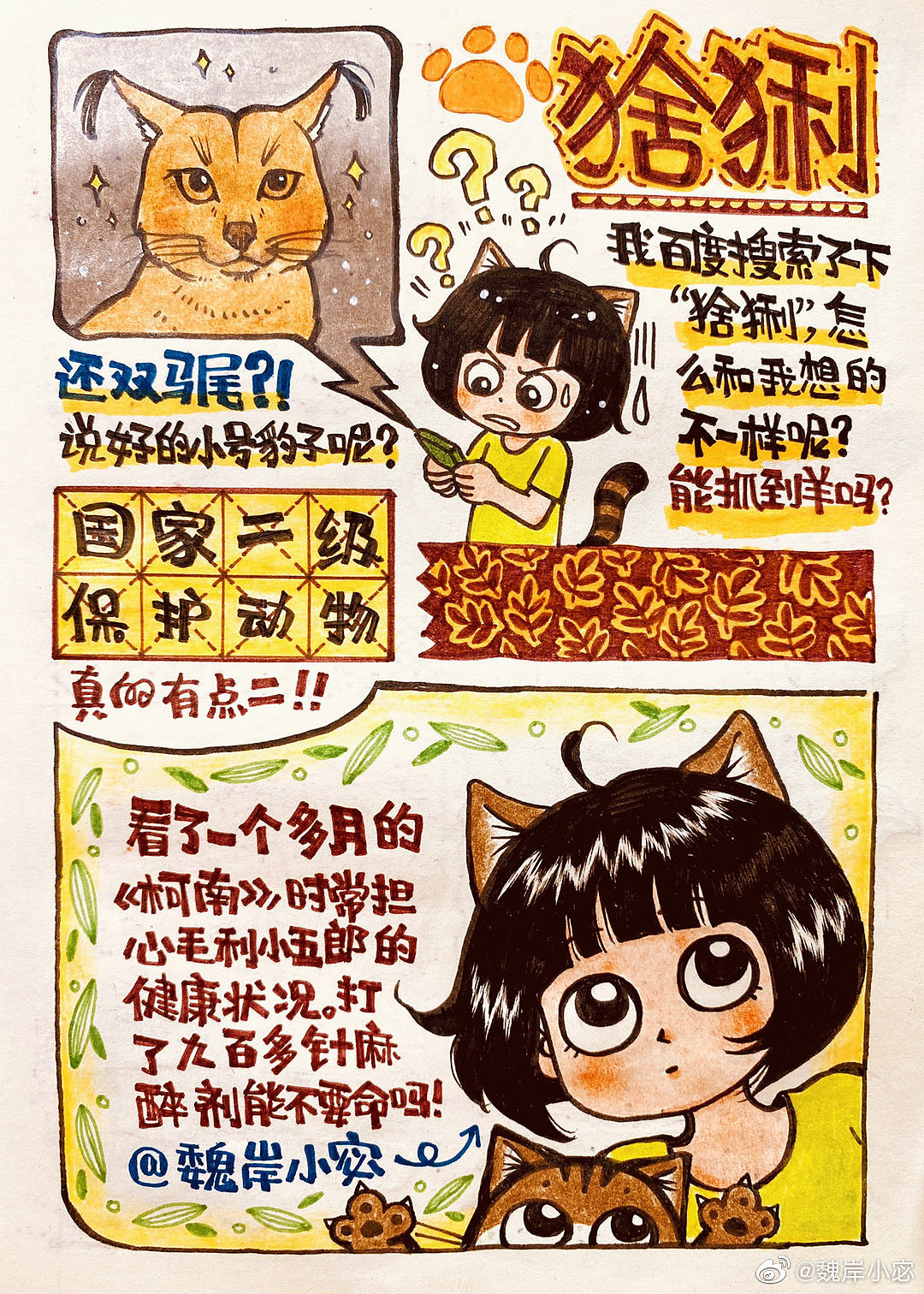 【画日记第3年】扎双马尾的猞猁长得好像小丑女！🤣