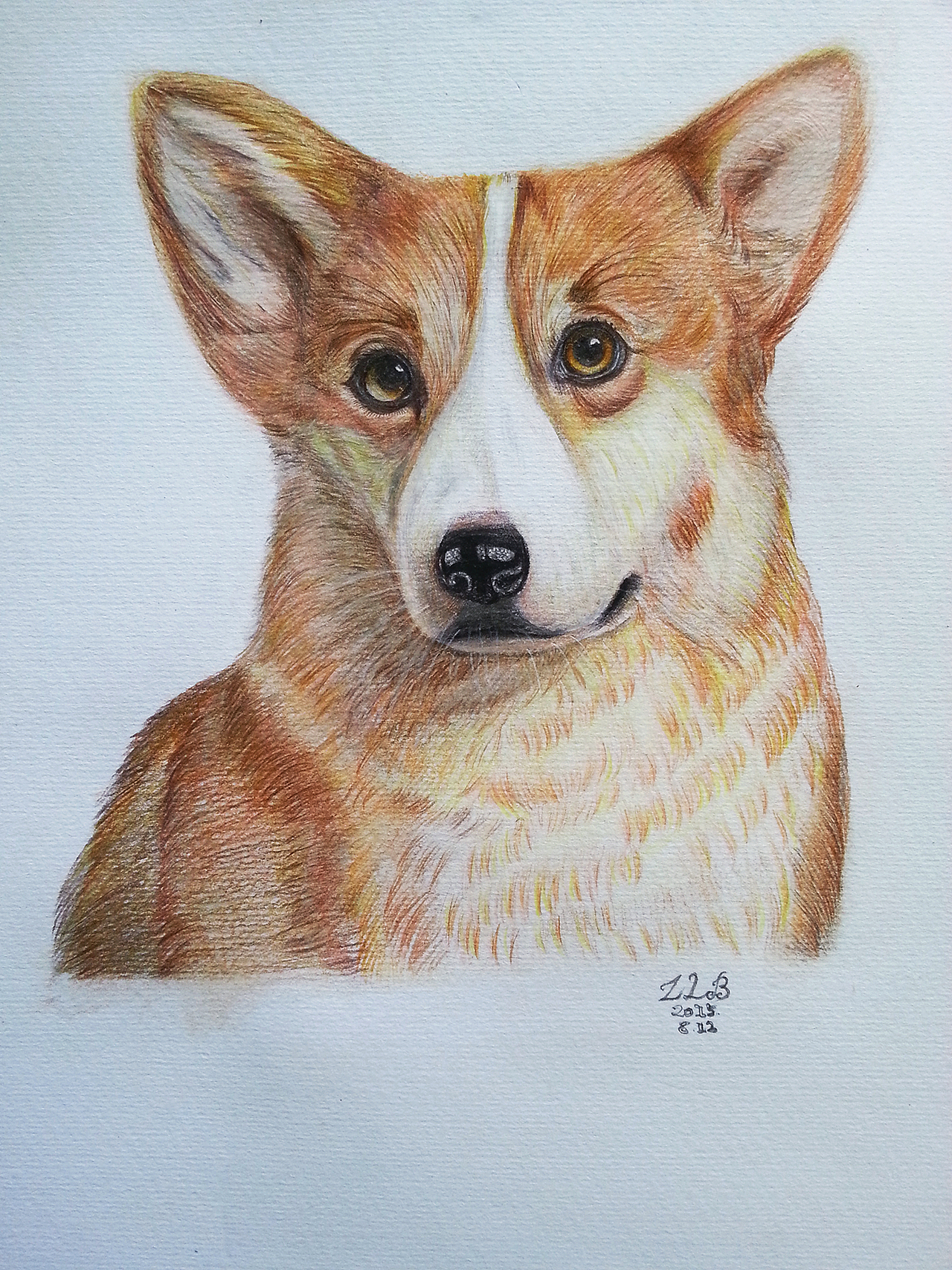 彩铅/原创 柯基过程图/荷花.