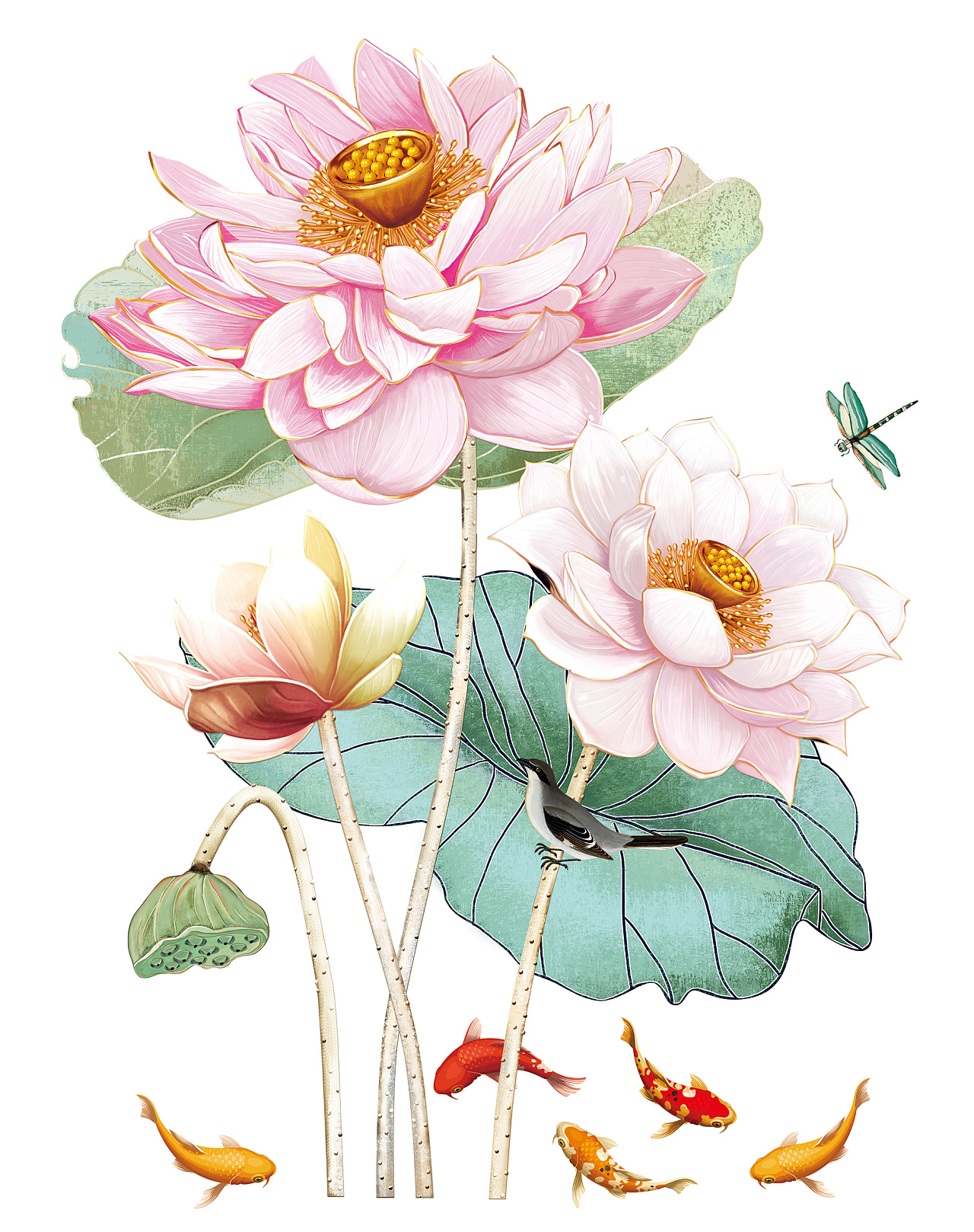 立体逼真荷花|插画|商业插画|mandy果 - 原创作品 - 站酷 (zcool)