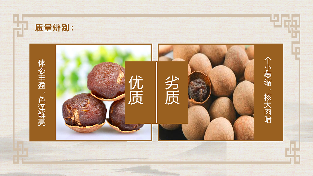 高州桂圆产品介绍PPT（图ZMjUwNDM5ODEy） - PPT/Keynote - 站酷设计师尼玛帅原创素材 - 站酷ZCOOL