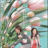 胖大云的头像