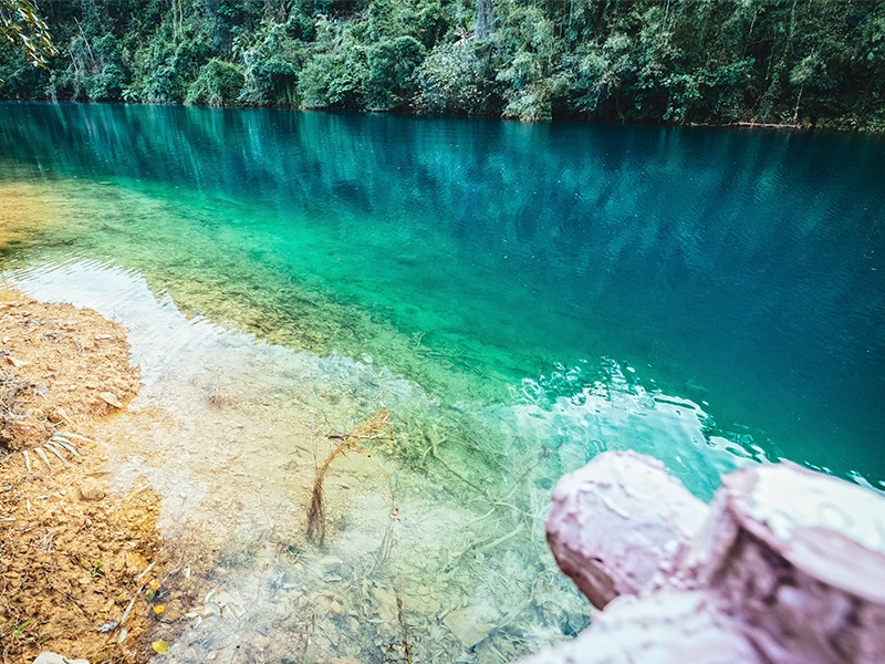 肇庆旅拍--鼎湖山：“你喝过山泉水吗”