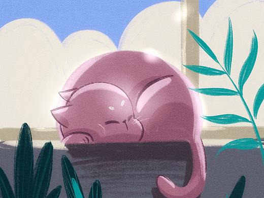 今天的猫猫长这样