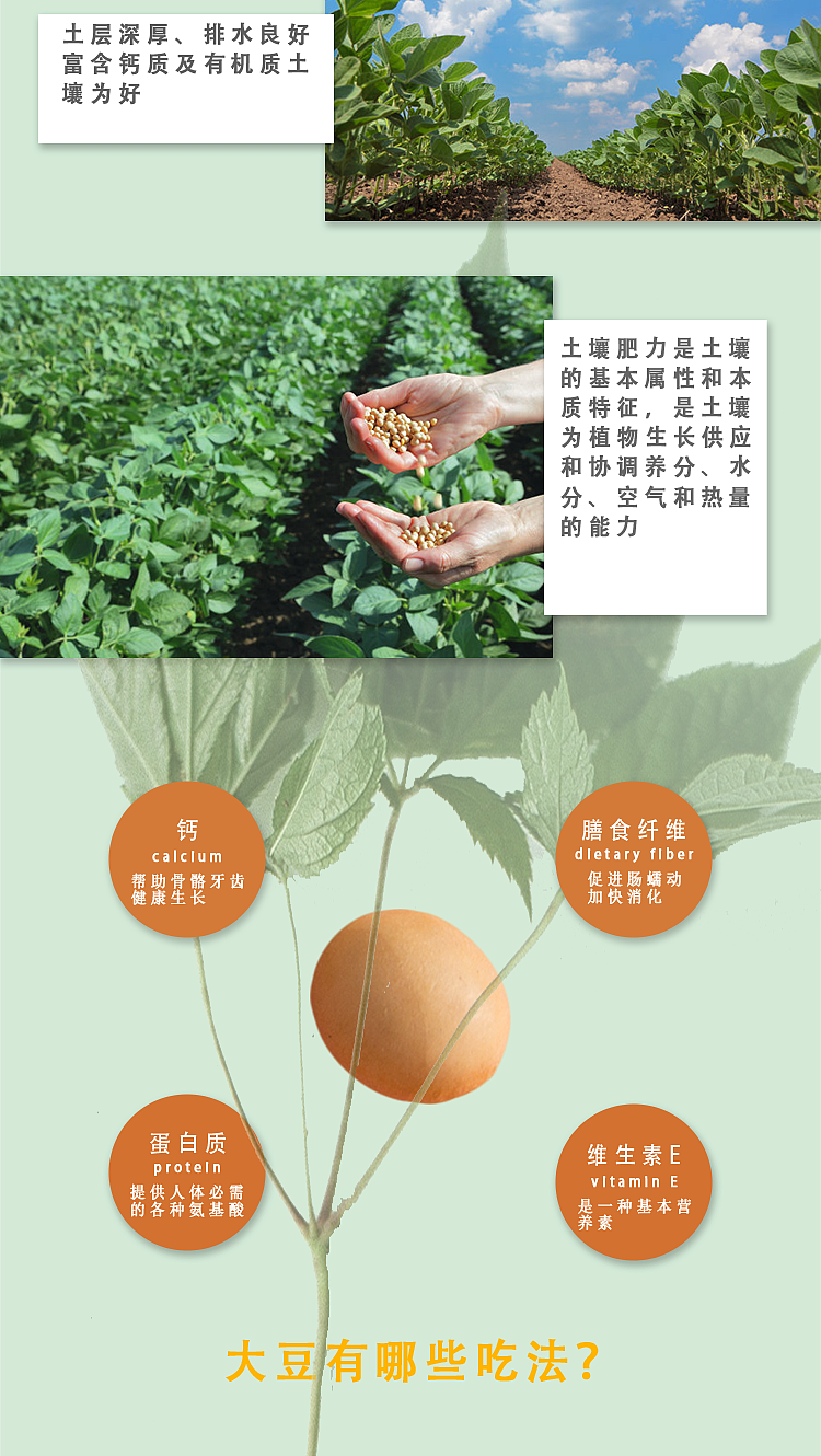 每天发一套与杂粮相关的产品（图ZMjI2MDg2NTE2） - 电商 - 站酷设计师W大鹏展翅原创素材 - 站酷ZCOOL