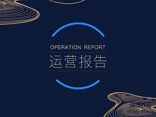 运营报告