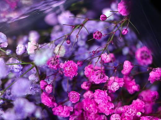 年有花季，人如花期（个人主页-ZNDk5MjM2NTY=） - 产品摄影 - 站酷设计师小小样88原创素材 - 站酷ZCOOL