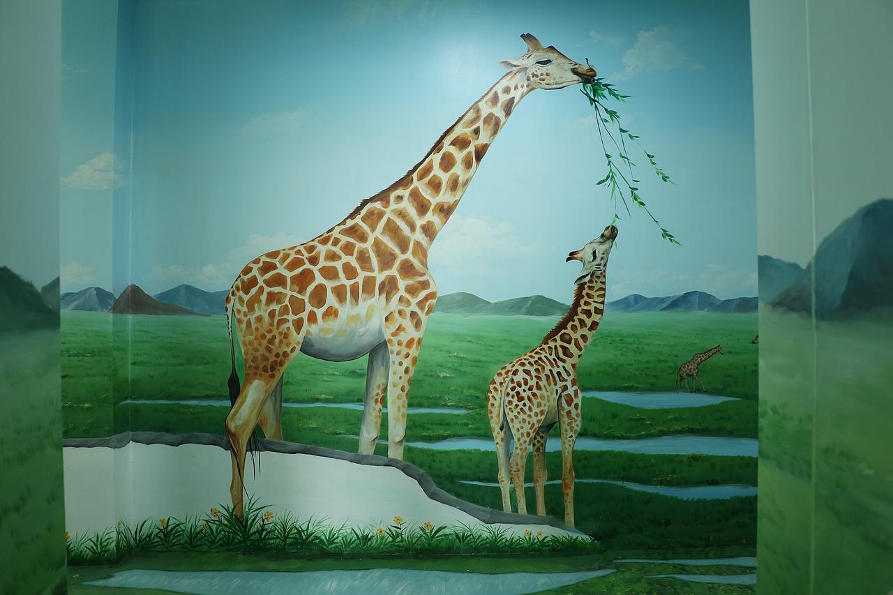 动物3d立体墙绘