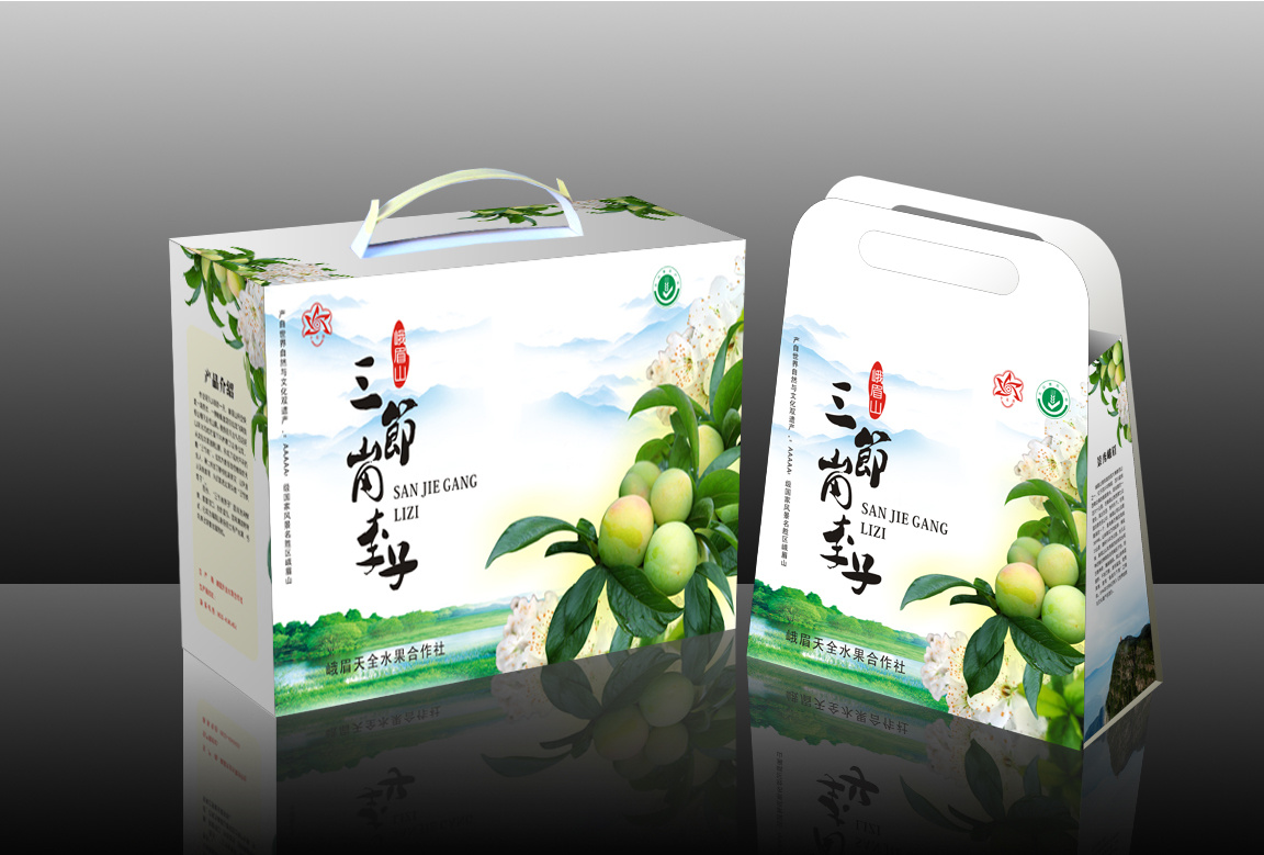 李子包装(飞机稿)