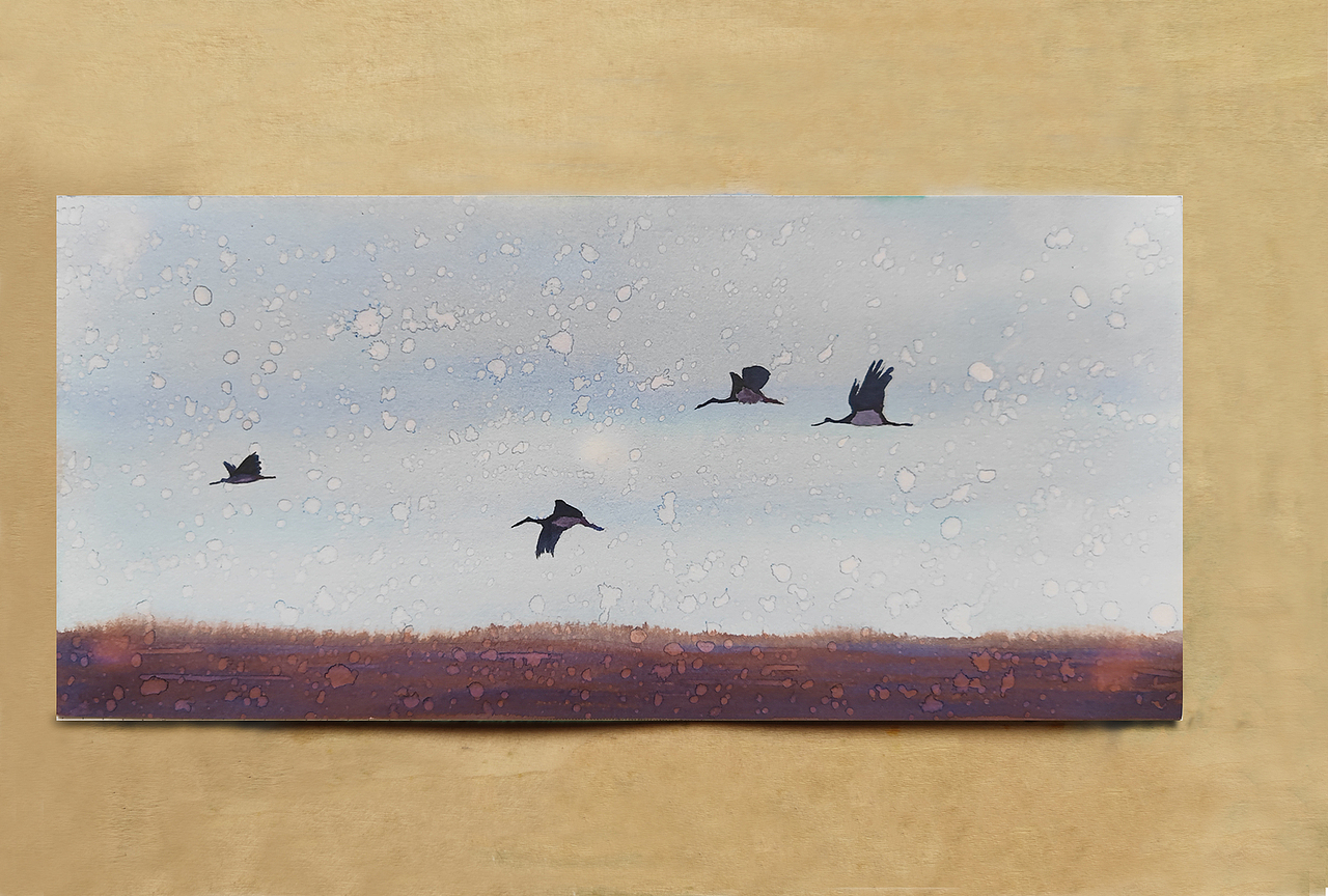 【画本系列】-我的第31本画本-日常习作