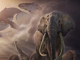 恐龙博物馆网页设计