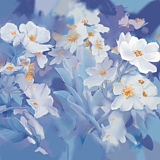 Wuyu_Design的头像