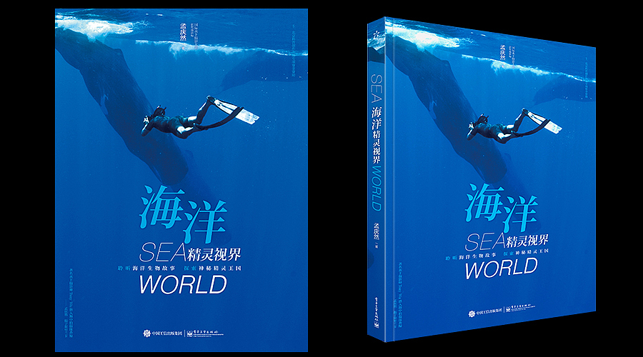 儿童、青少类书籍设计(图ZMzg4MjgwNTY=) - 书籍/画册 - 站酷设计师点石坊原创素材 - 站酷ZCOOL