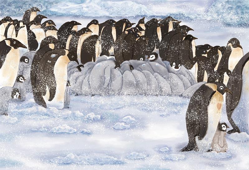 有爱的企鹅爸爸绘本