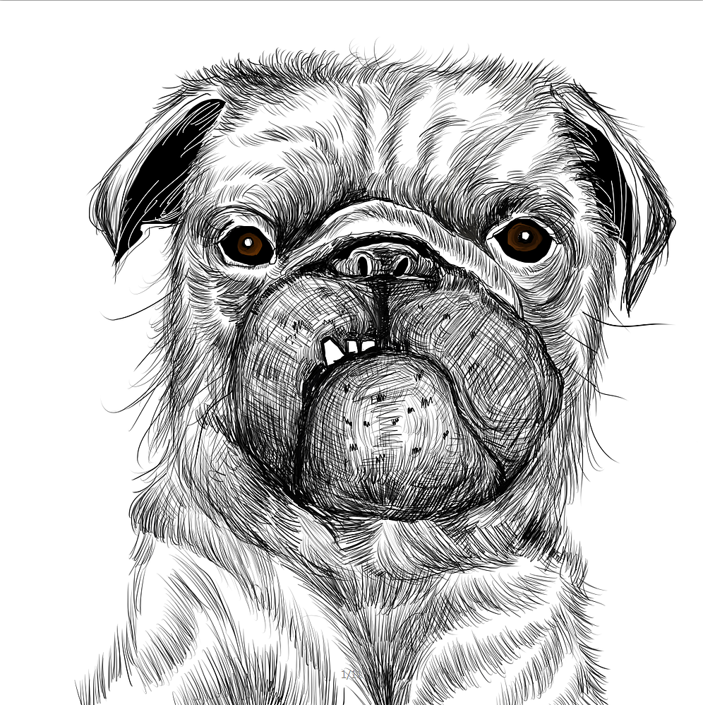 狗- 原创作品 - 站酷(zcool)