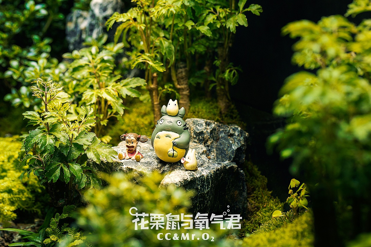 花栗鼠与氧气君·绿植微景观，微妙的小世界（图ZNzk4MDM5NzI=） - 风光摄影 - 站酷设计师噗噗维尼原创素材 - 站酷ZCOOL