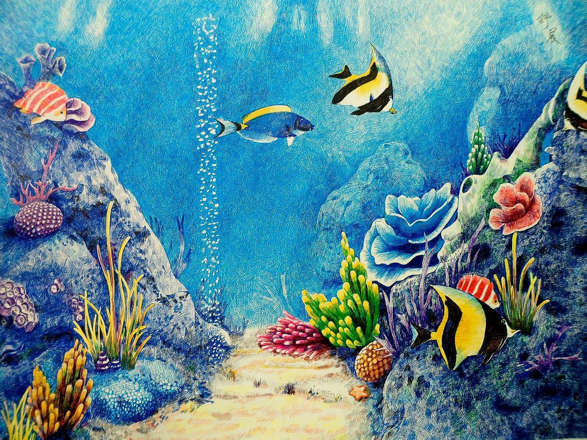海洋|插画|商业插画|chonim1994 - 原创作品 - 站酷 (ZCOOL)