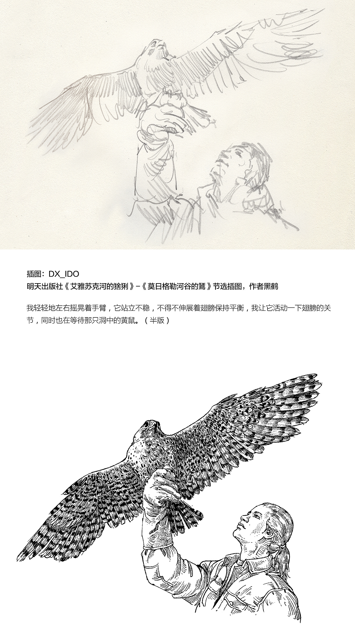 2189 一些插图整理（图ZMTI5NTg5MjYw） - 绘画 - 站酷设计师DX_IDO原创素材 - 站酷ZCOOL