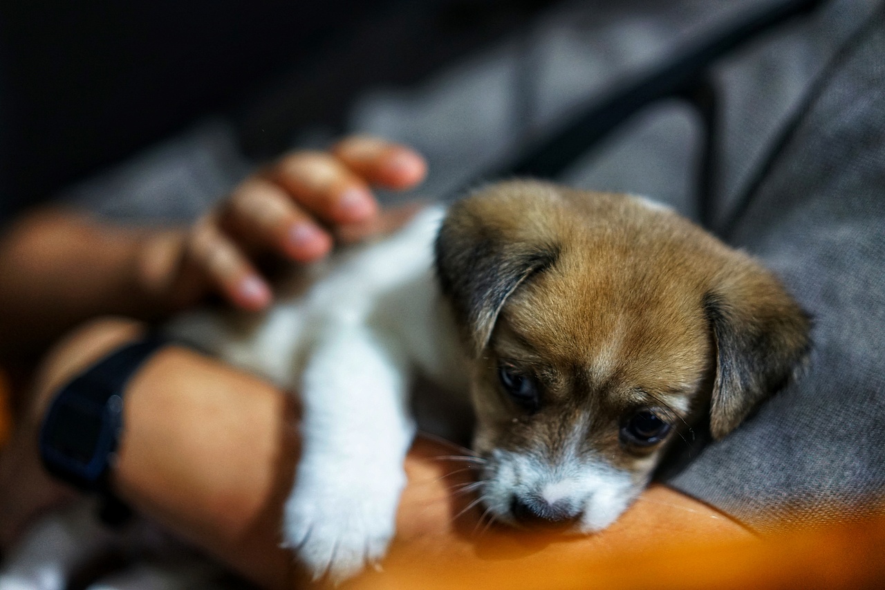 时光印记（图ZMTIxOTIwNDc2） - 人文/纪实摄影 - 站酷设计师阿悠设计事务所原创素材 - 站酷ZCOOL