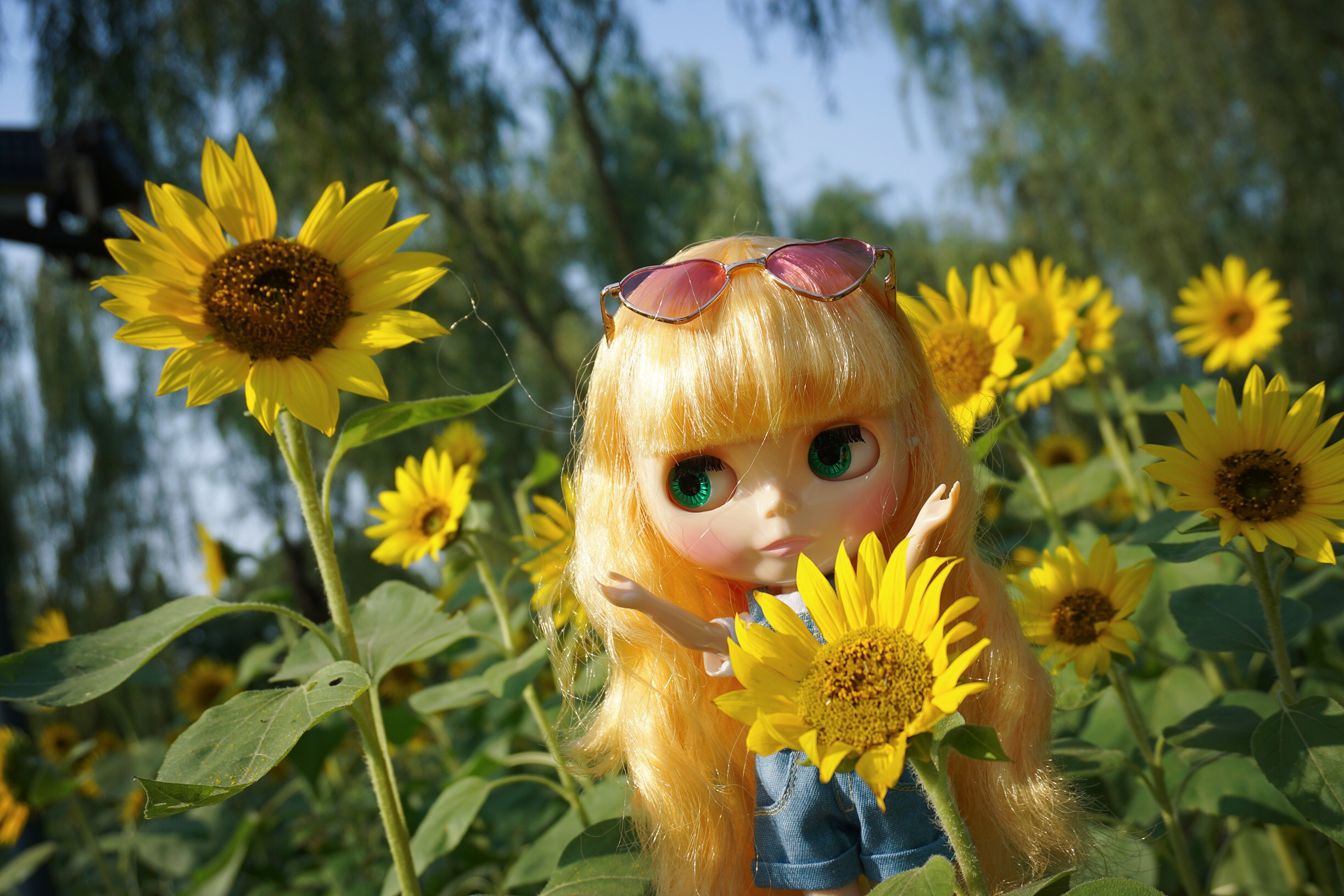 blythe 小布,我人生中的第一次拆盒外景!