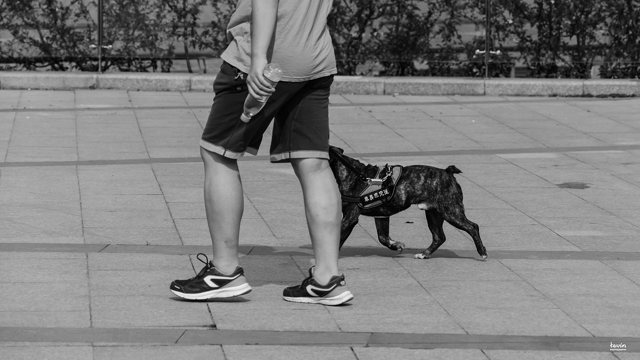 上海徐汇滨江大道