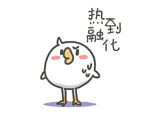 momo鸡的燃情夏日