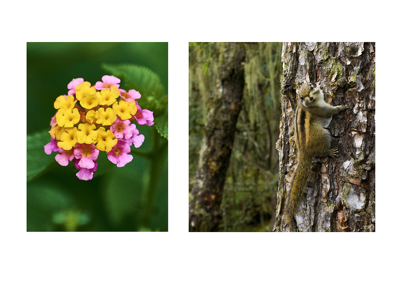 摄影作品集（图ZMTczNjY3MjE2） - 其他摄影 - 站酷设计师top拓扑设计原创素材 - 站酷ZCOOL