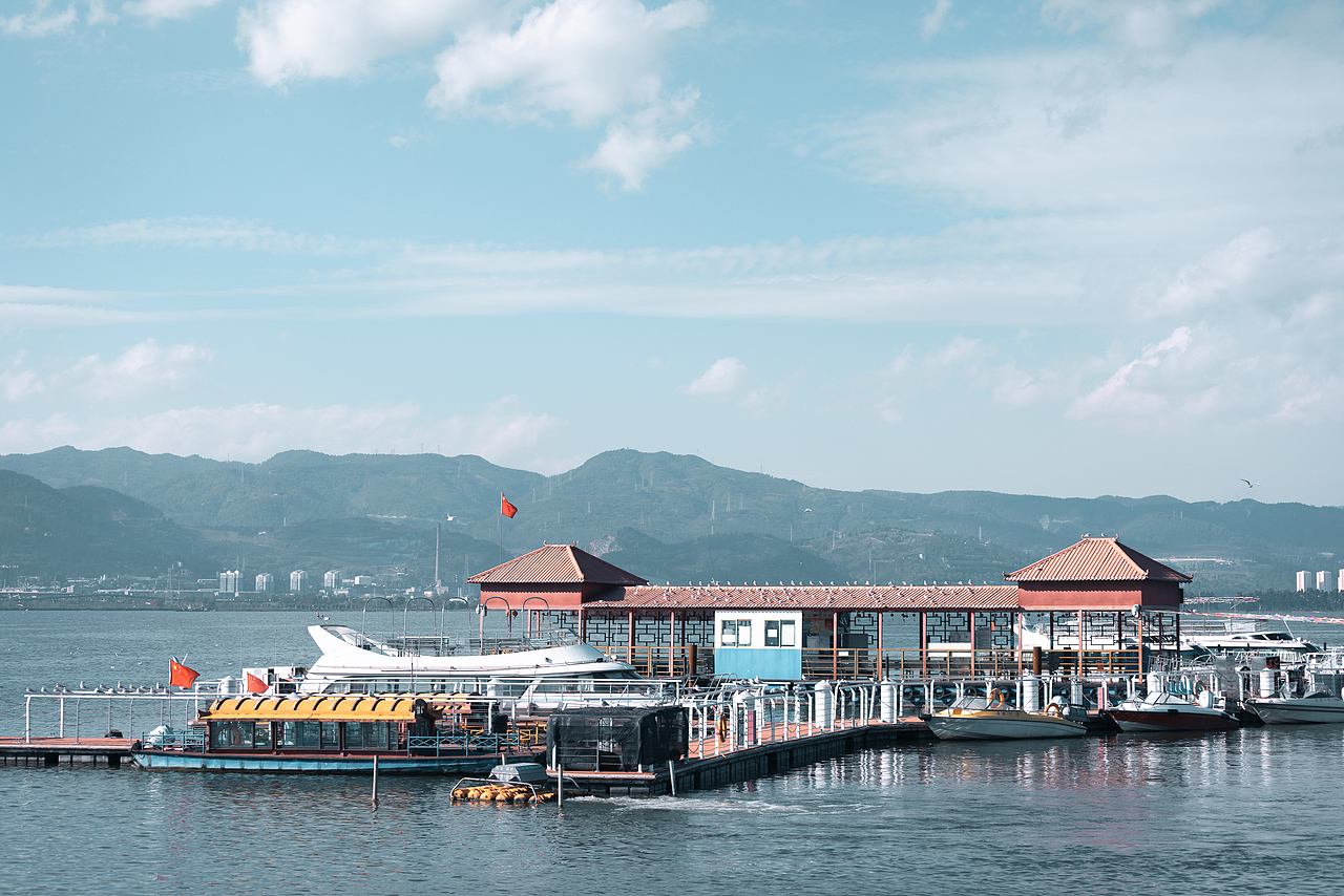 旅摄|昆明滇池海埂大坝海鸥