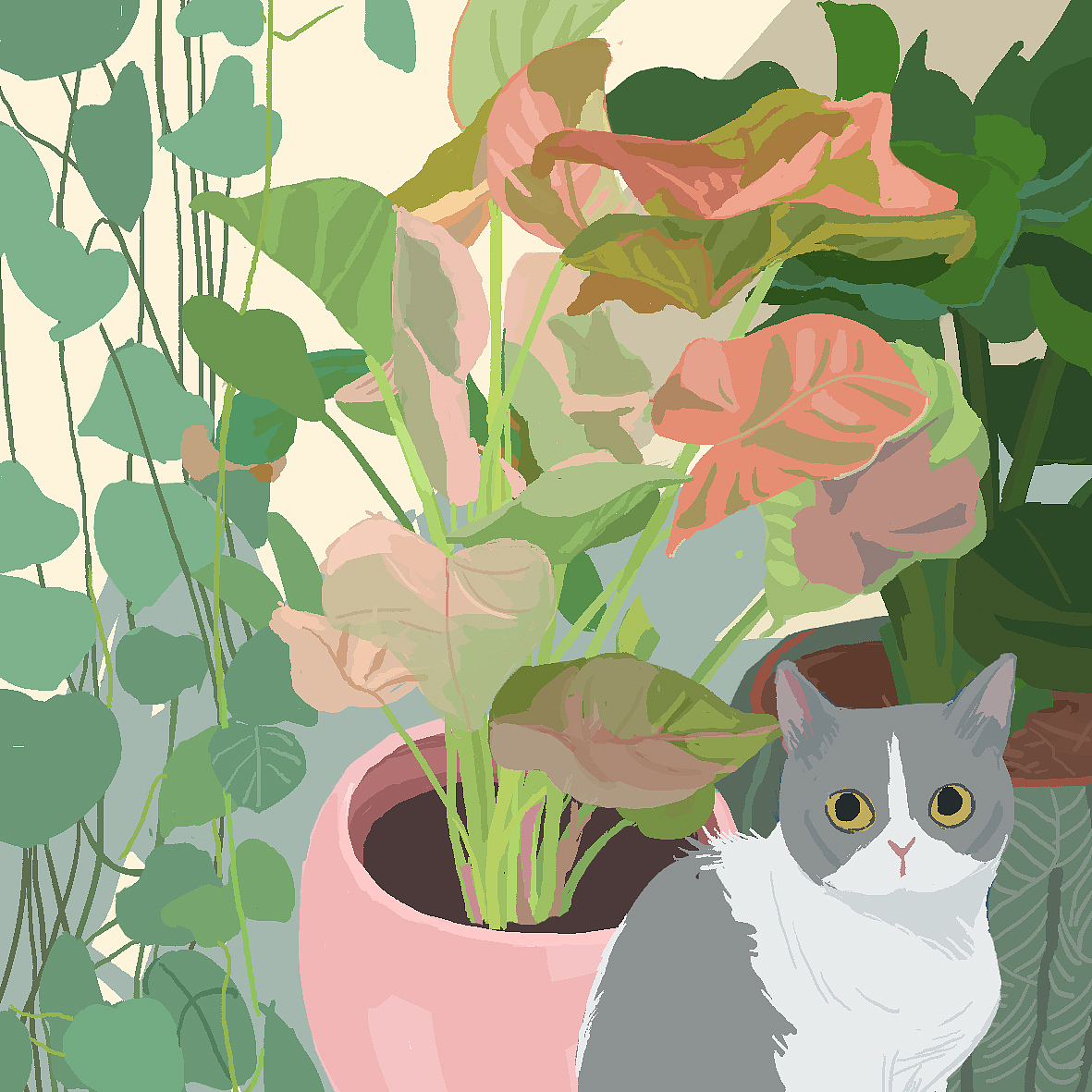 猫系列（图ZMTQ4MTUxMjIw） - 创作习作 - 站酷设计师Helloyanya原创素材 - 站酷ZCOOL