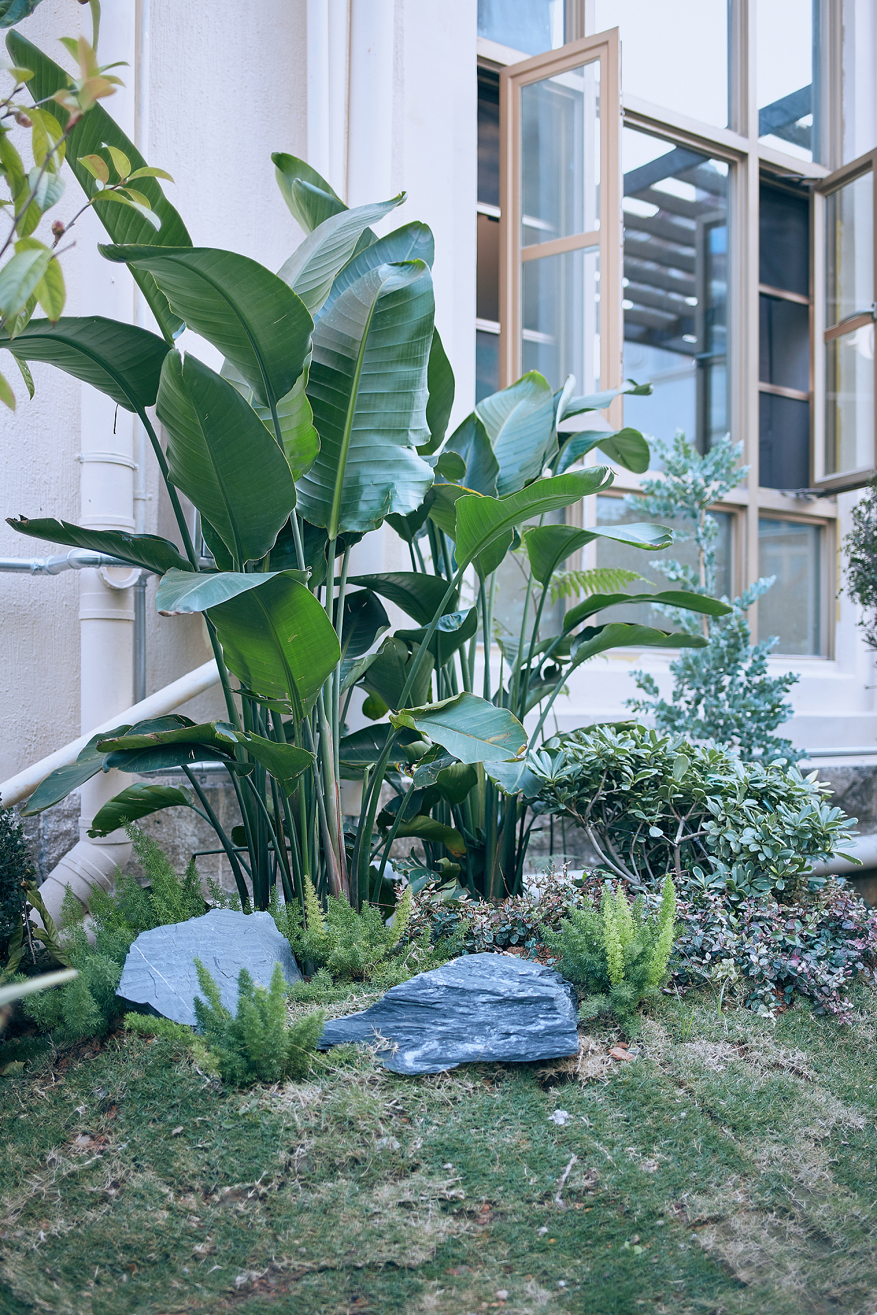 桂景园景观园林摄影 绿植庭院拍摄 深圳户外花园拍照