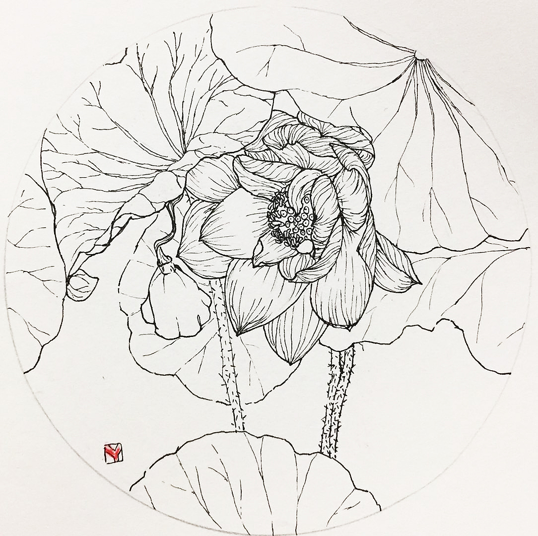 荷花（图ZMTU4NTk5Njgw） - 创作习作 - 站酷设计师Y羿彤原创素材 - 站酷ZCOOL