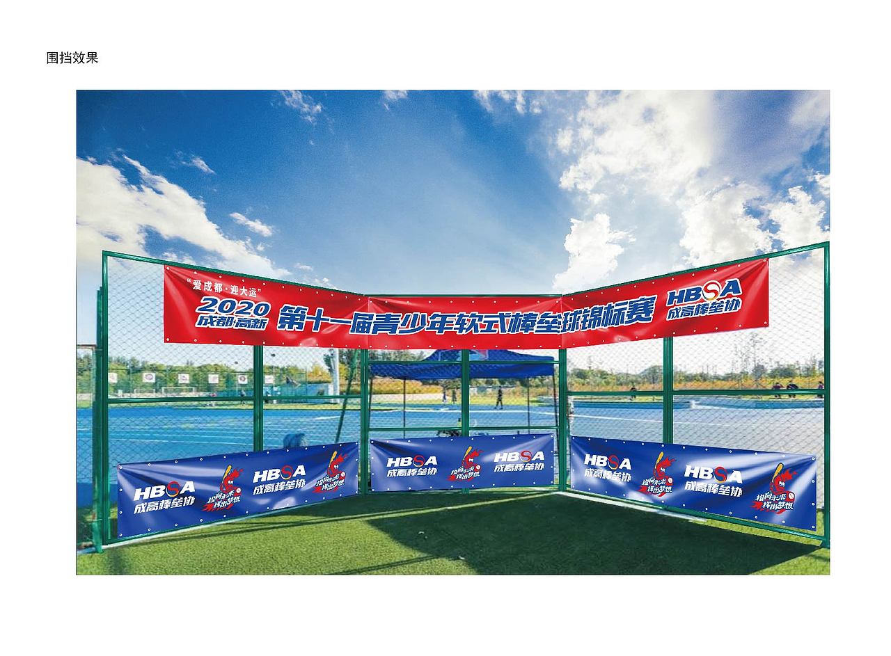 成都市高新区棒垒球协会VI