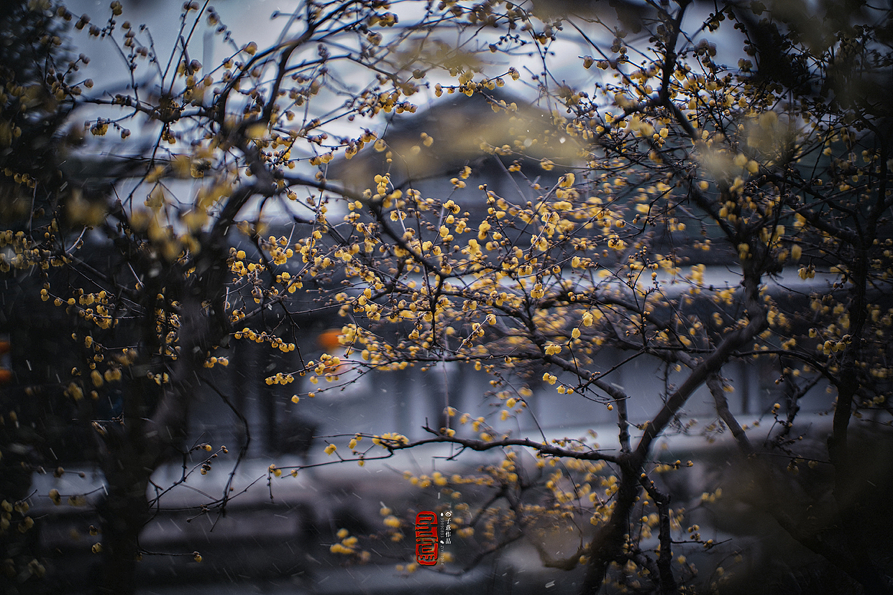 《瞻园·见》（图ZMTk0MTk0Njc2） - 环境/建筑摄影 - 站酷设计师摄影师子意原创素材 - 站酷ZCOOL