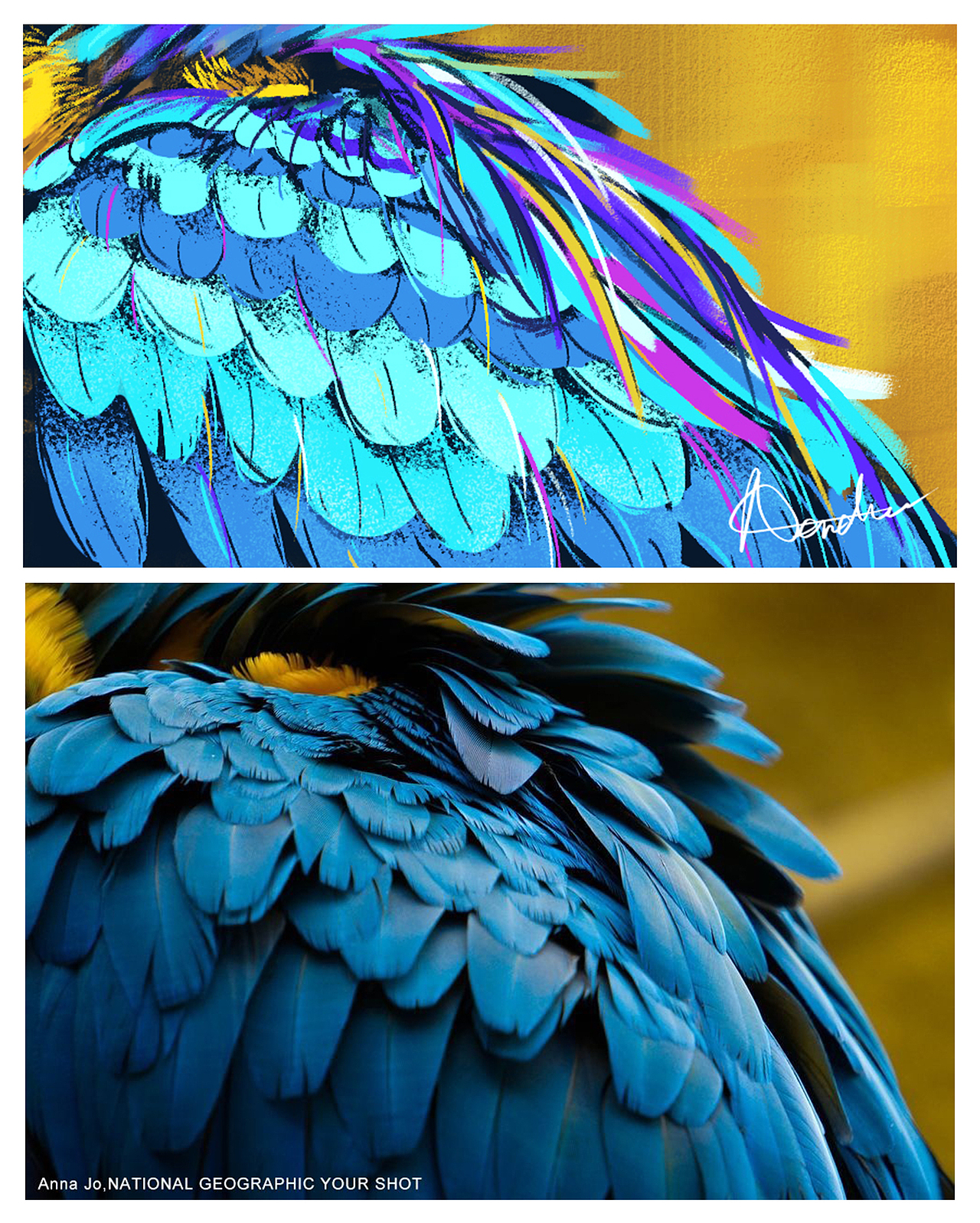 手绘练习（图ZMTg3ODQzNDky） - 创作习作 - 站酷设计师Nendoo楠豆豆原创素材 - 站酷ZCOOL