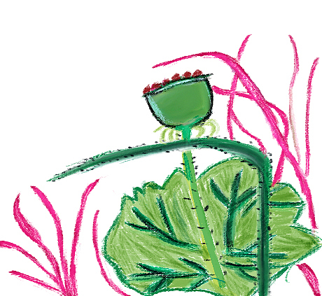 荷花（图ZMTkwOTcwNjMy） - 图案 - 站酷设计师19广告刘飞艳原创素材 - 站酷ZCOOL