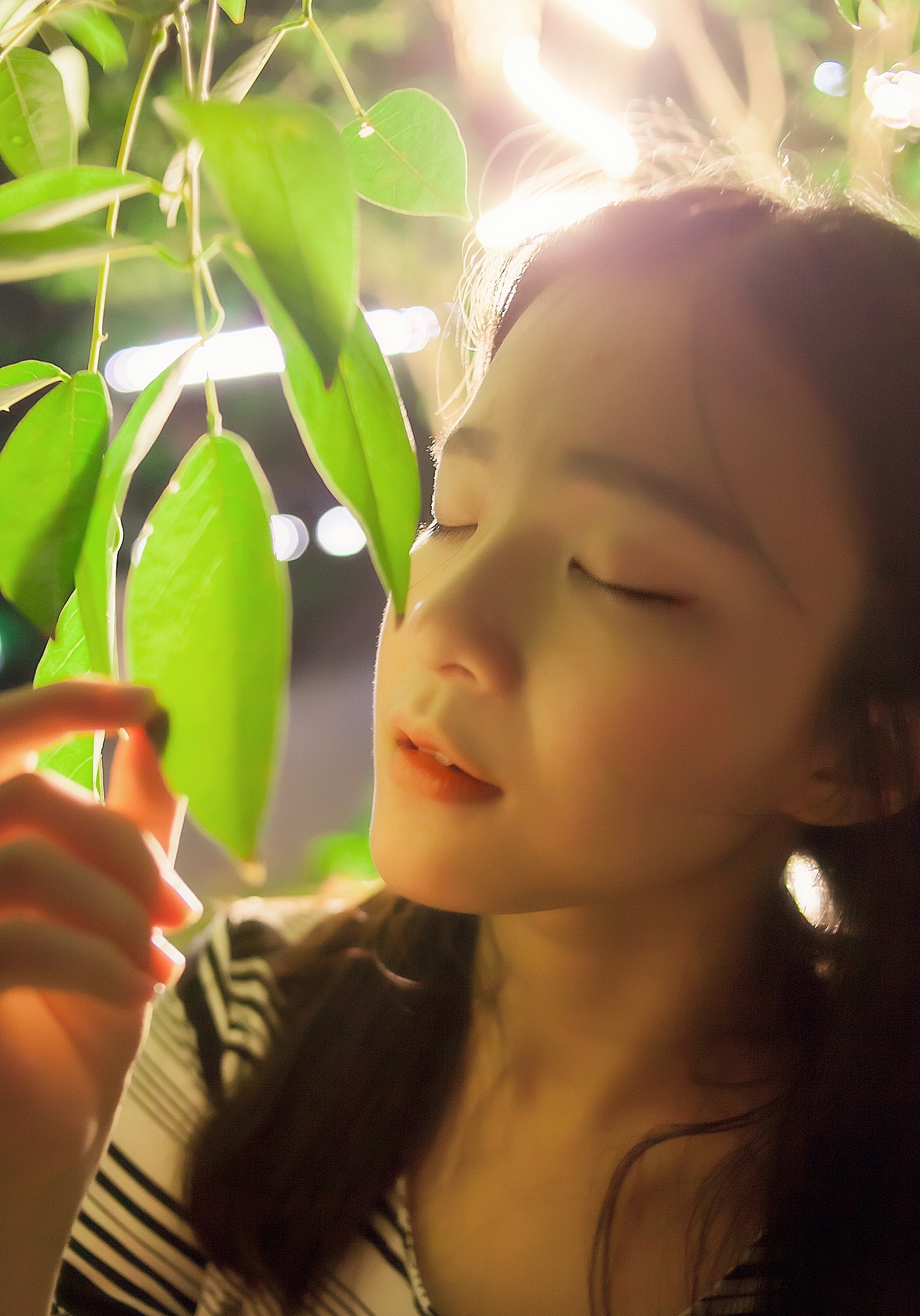 少女的仲夏夜之梦