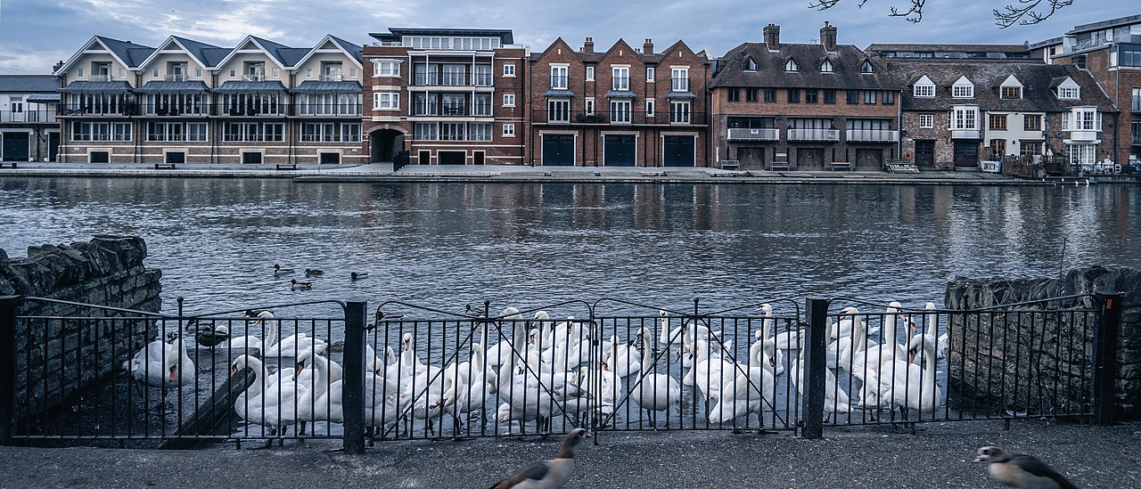 不列颠旅人（图ZMjAxMDQ3Mjc2） - 人文/纪实摄影 - 站酷设计师Carson_小立原创素材 - 站酷ZCOOL