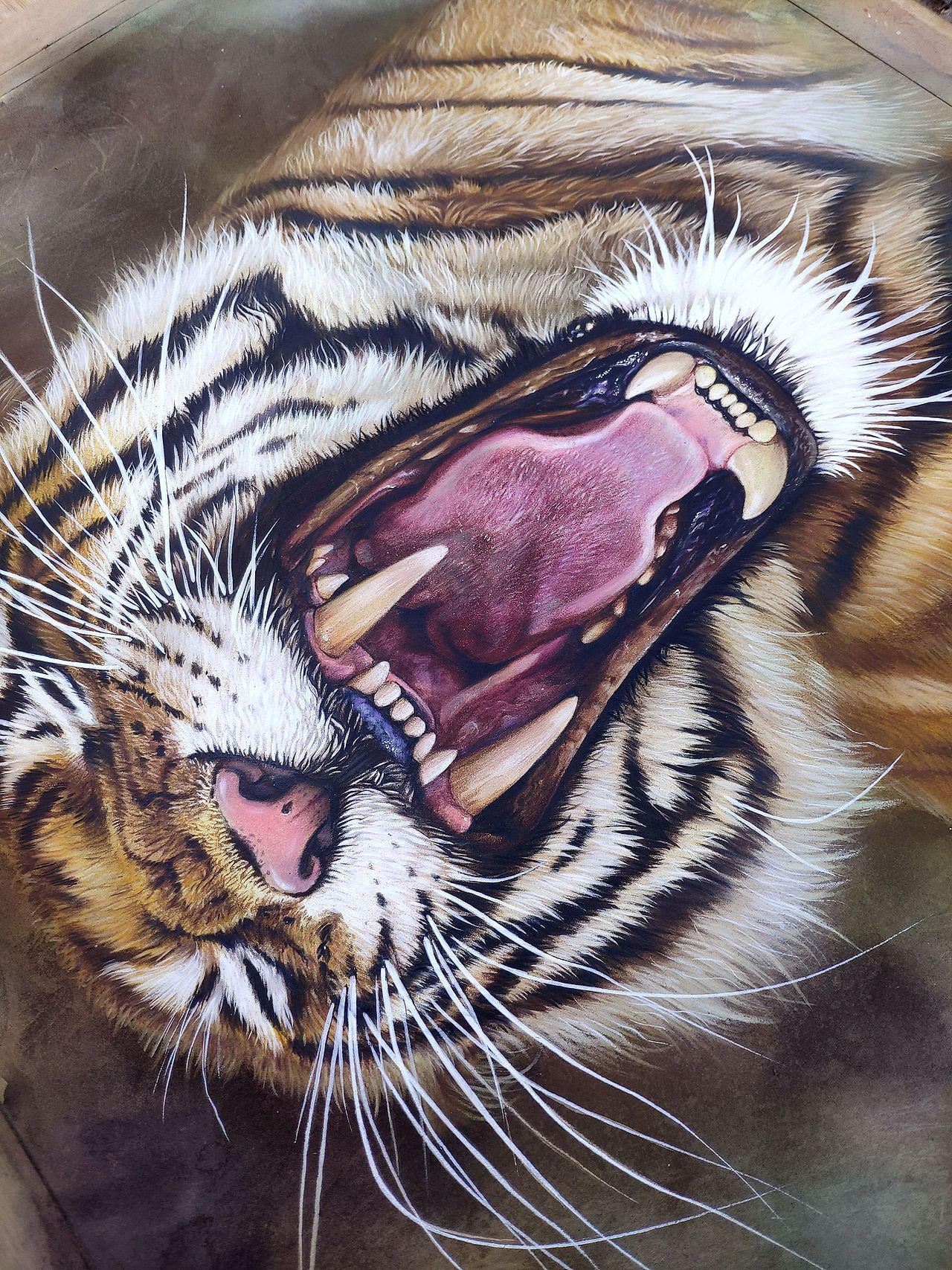 彩铅老虎（图ZMjczNzIwNjk2） - 绘画 - 站酷设计师马行画彩铅原创素材 - 站酷ZCOOL