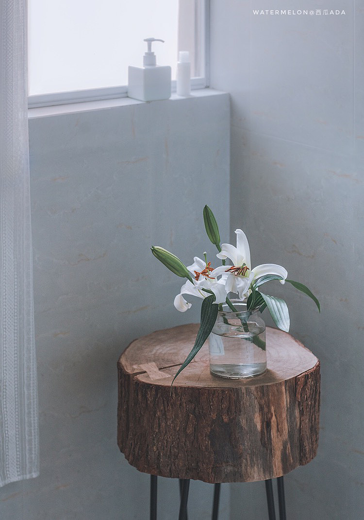 随拍（图ZMTUyNzI5NDEy） - 产品摄影 - 站酷设计师西瓜ADA原创素材 - 站酷ZCOOL