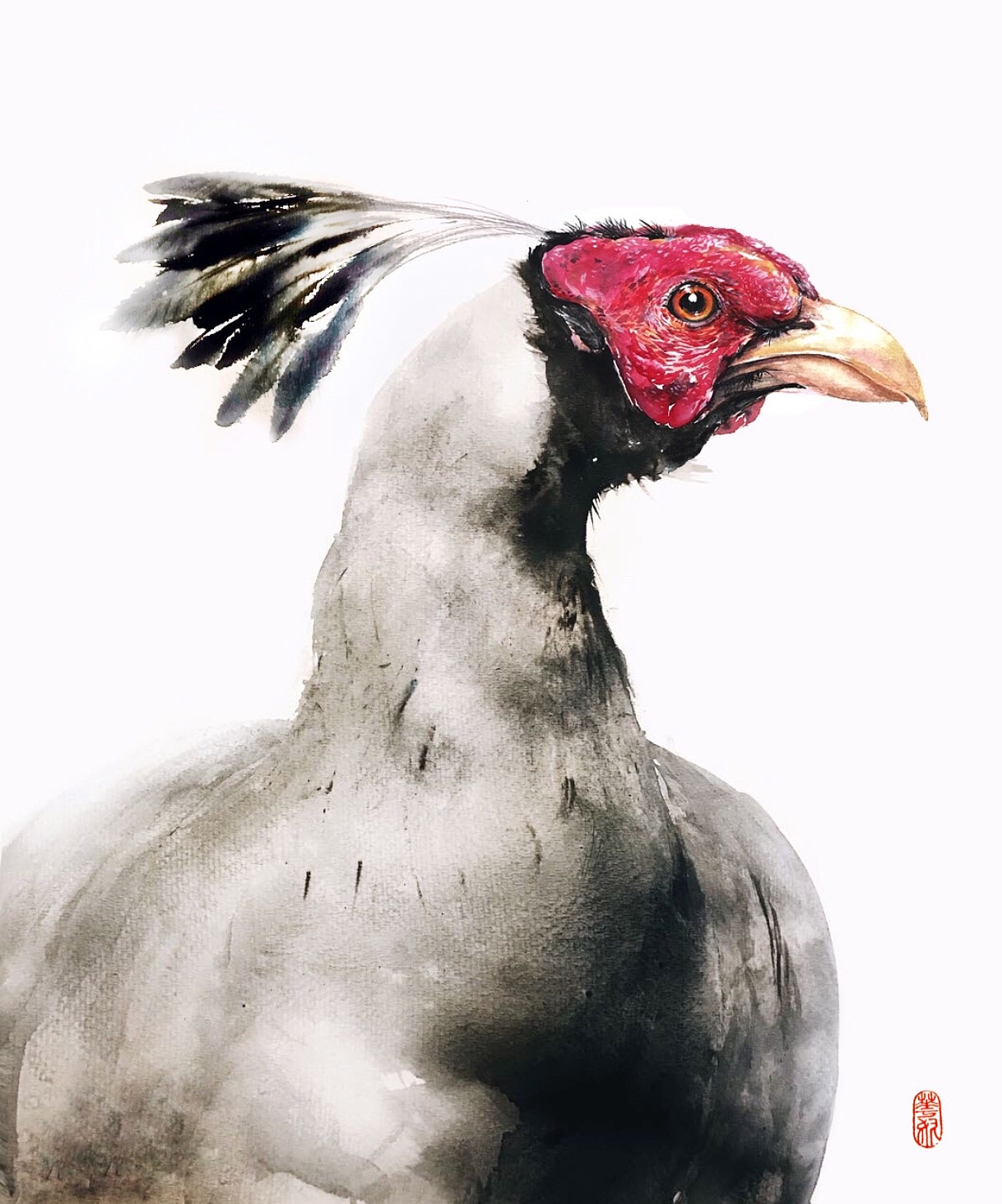 花奴百鸟图绘No.45 鸡（图ZMTQ3NTY4ODUy） - 绘画 - 站酷设计师huanuart原创素材 - 站酷ZCOOL