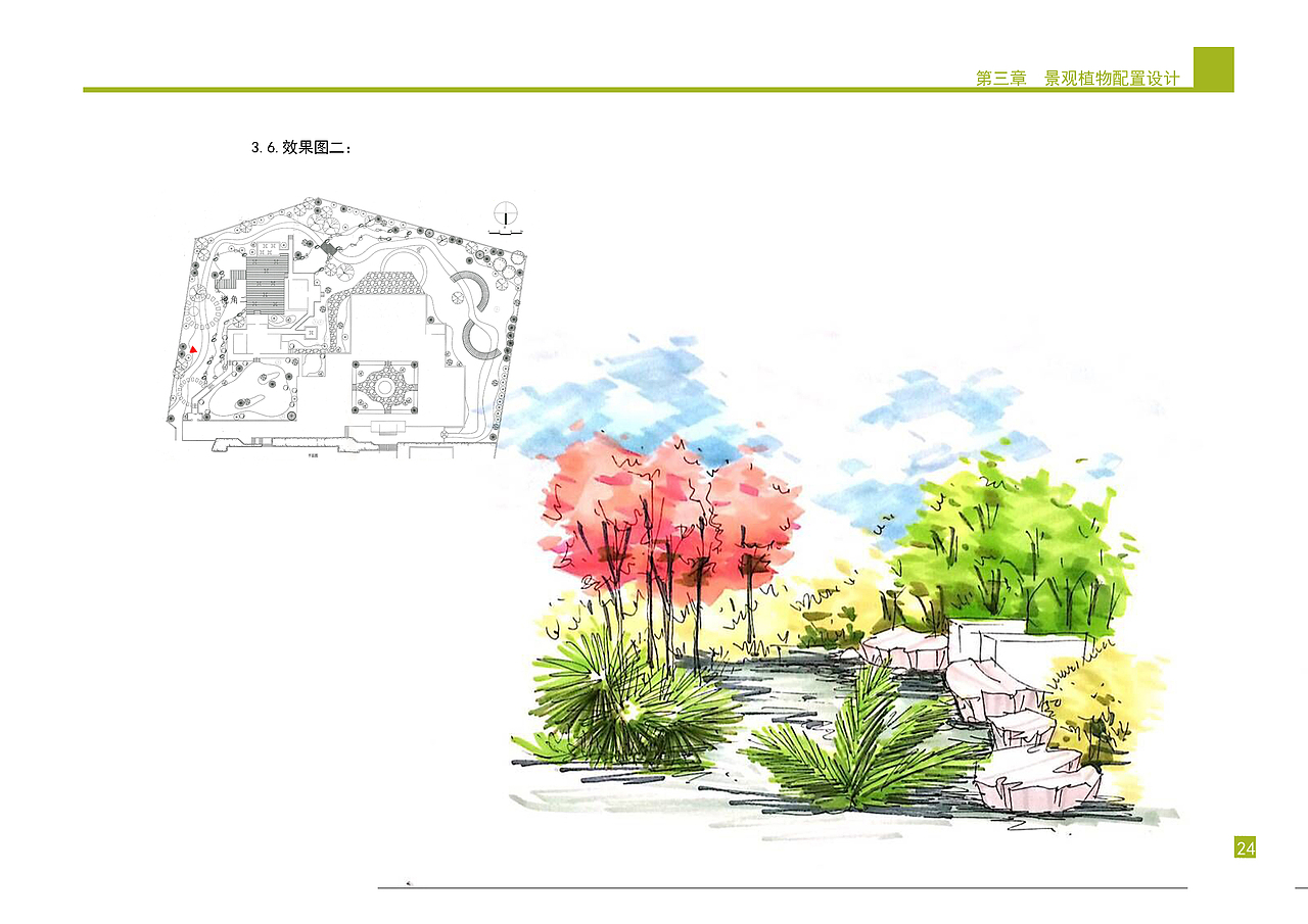庭院景观植物设计方案