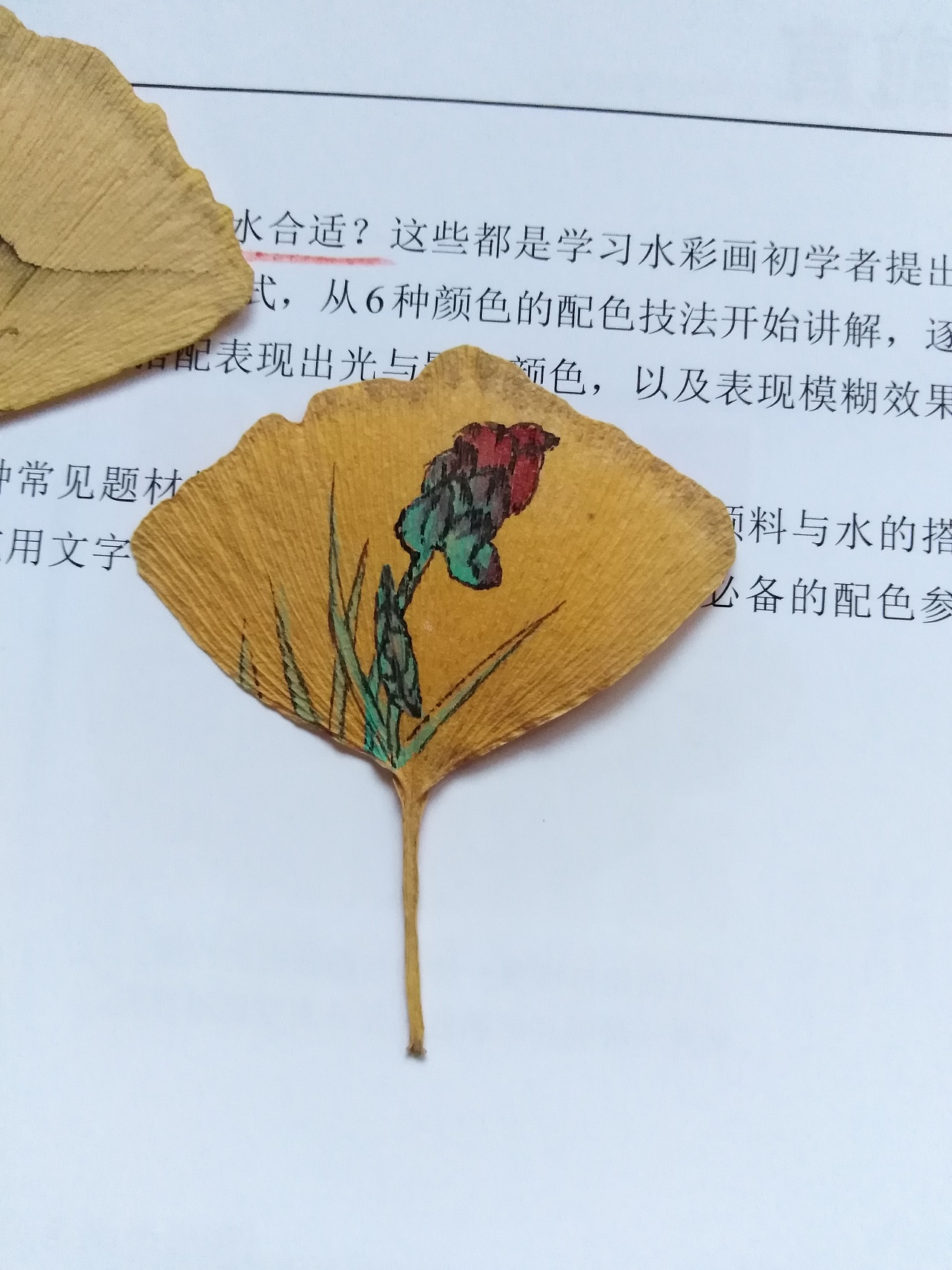 水彩手绘植物叶子插画图片下载-正版图片400219353-摄图网
