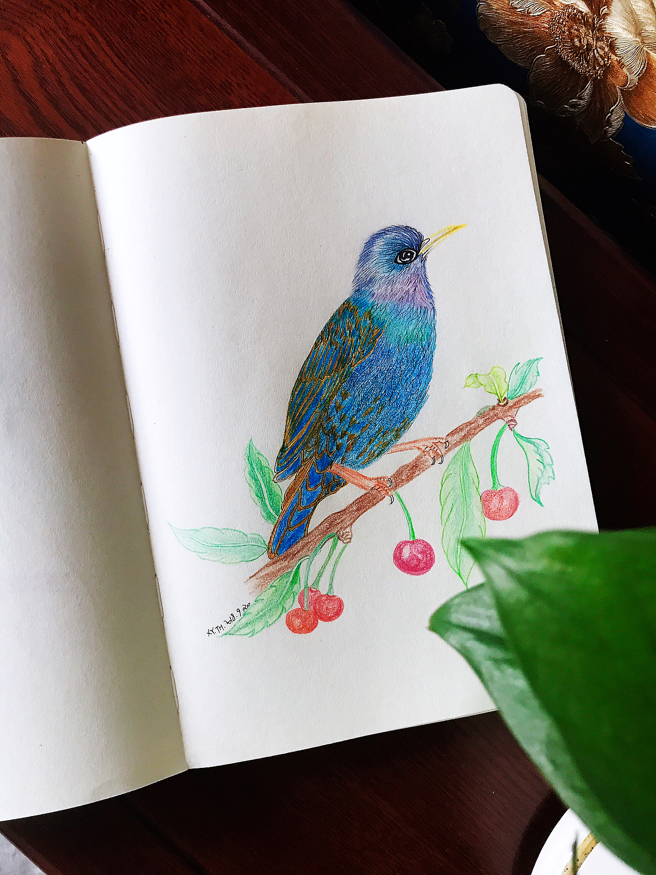 彩铅，针管笔作品（图ZMTY0MDM4OTY0） - 创作习作 - 站酷设计师英子手绘插画控原创素材 - 站酷ZCOOL