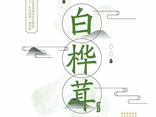产品折页
