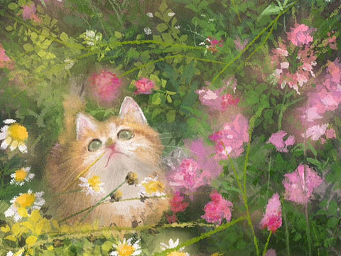 板绘作品及照片练习