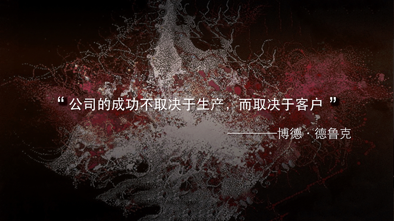 百加得公司威士忌品类介绍PPT