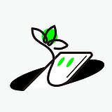 炸野的头像