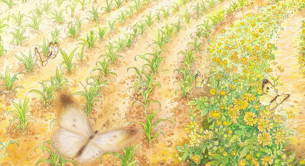 画到记忆深处（图ZMjA3Mjk5NDc2） - 绘本 - 站酷设计师1979水印原创素材 - 站酷ZCOOL