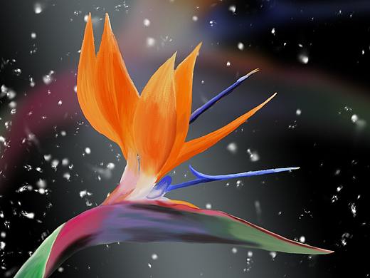 花·四季