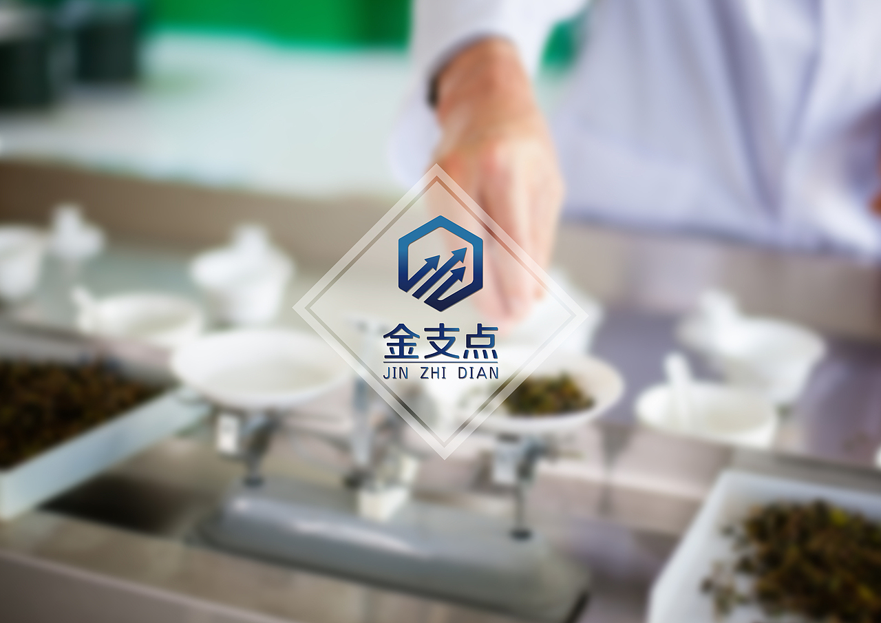 金支点LOGO方案一