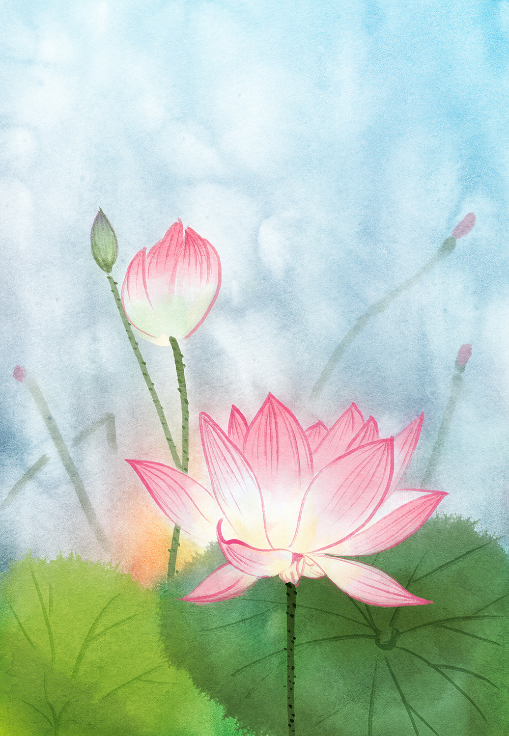 莲花|插画|商业插画|春和绘 - 原创作品 - 站酷 (zcool)